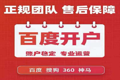 SEM托管公司案例研究：优化策略解析